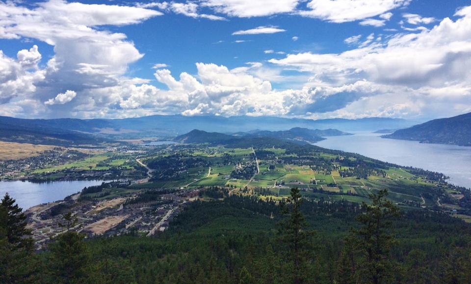 Aerial view of a scenic valley with lush green fields, a winding river, and distant mountains under a partly cloudy sky.