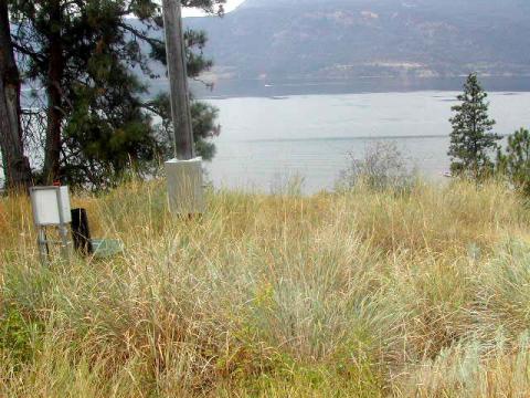 Tall grasses and utility boxes on a hillside overlooking a lake with mountains in the background.