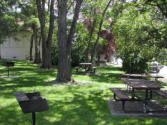 Grassy picnic area with tables, benches, and barbecue grills, shaded by trees.