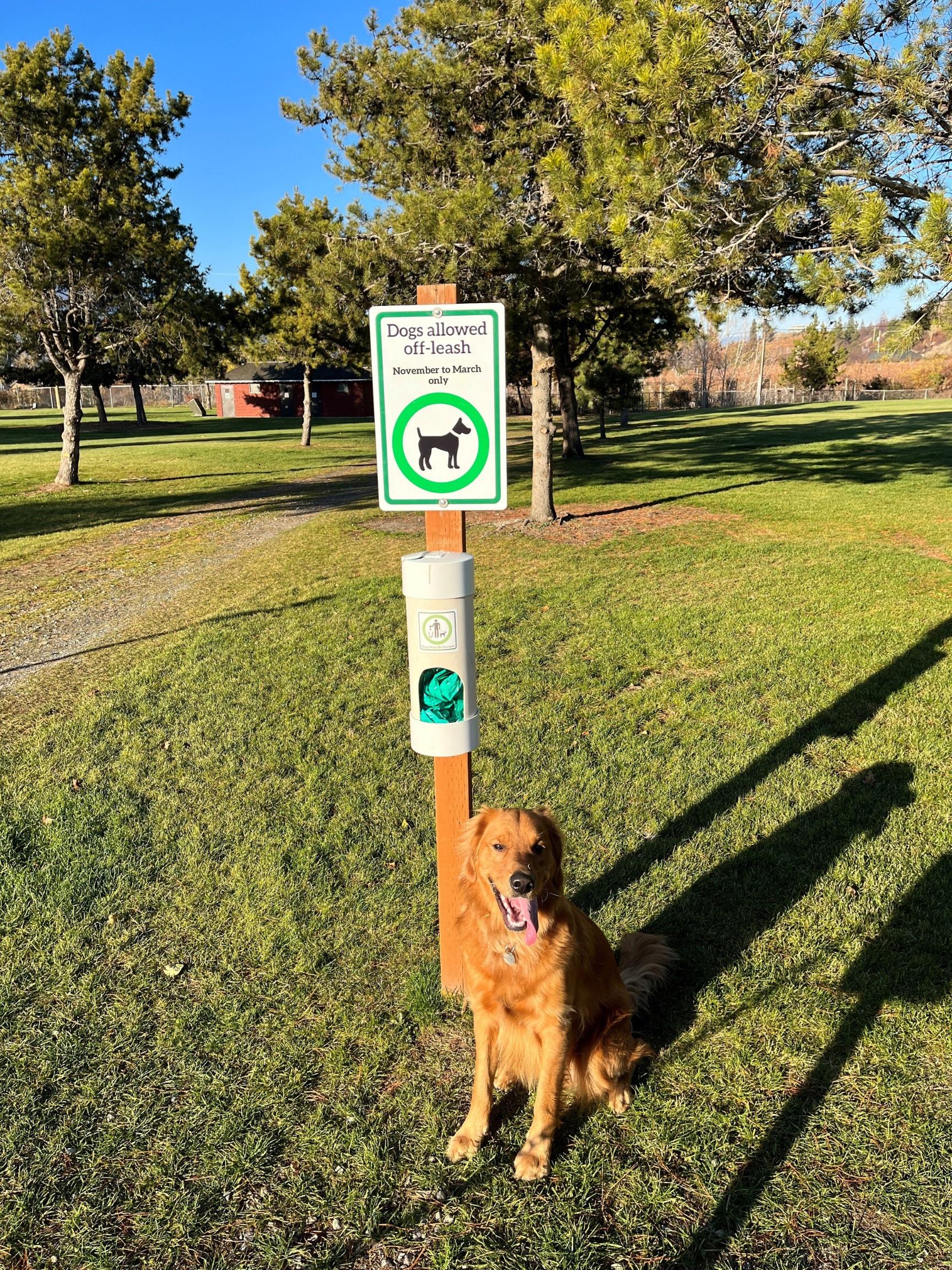 dog sits by sign in park showing dogs are allowed on leash during winter months